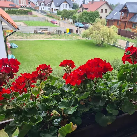 Rumiankowa Bis Проживание в семье Пуцк