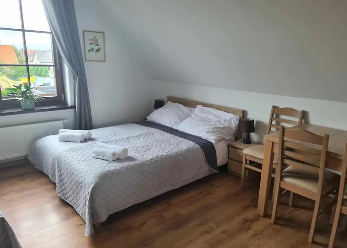 Rumiankowa Bis פוק