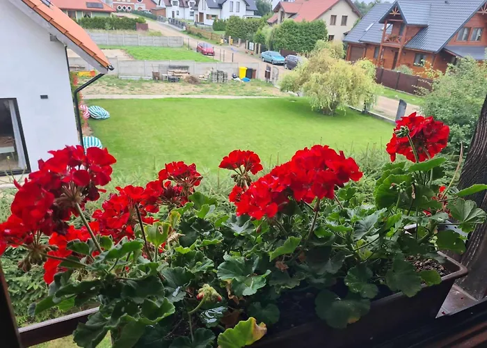 Rumiankowa Bis בית אירוח פוק